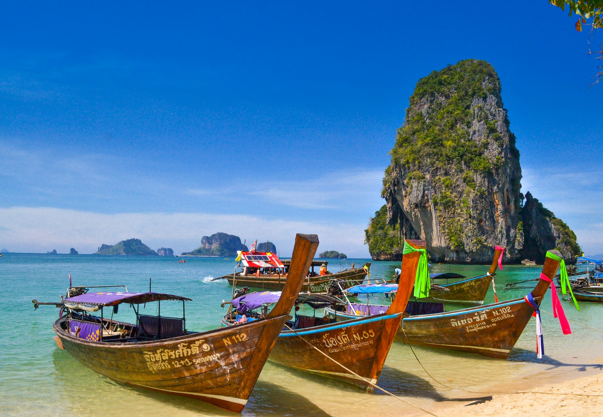 Tours & Transfers